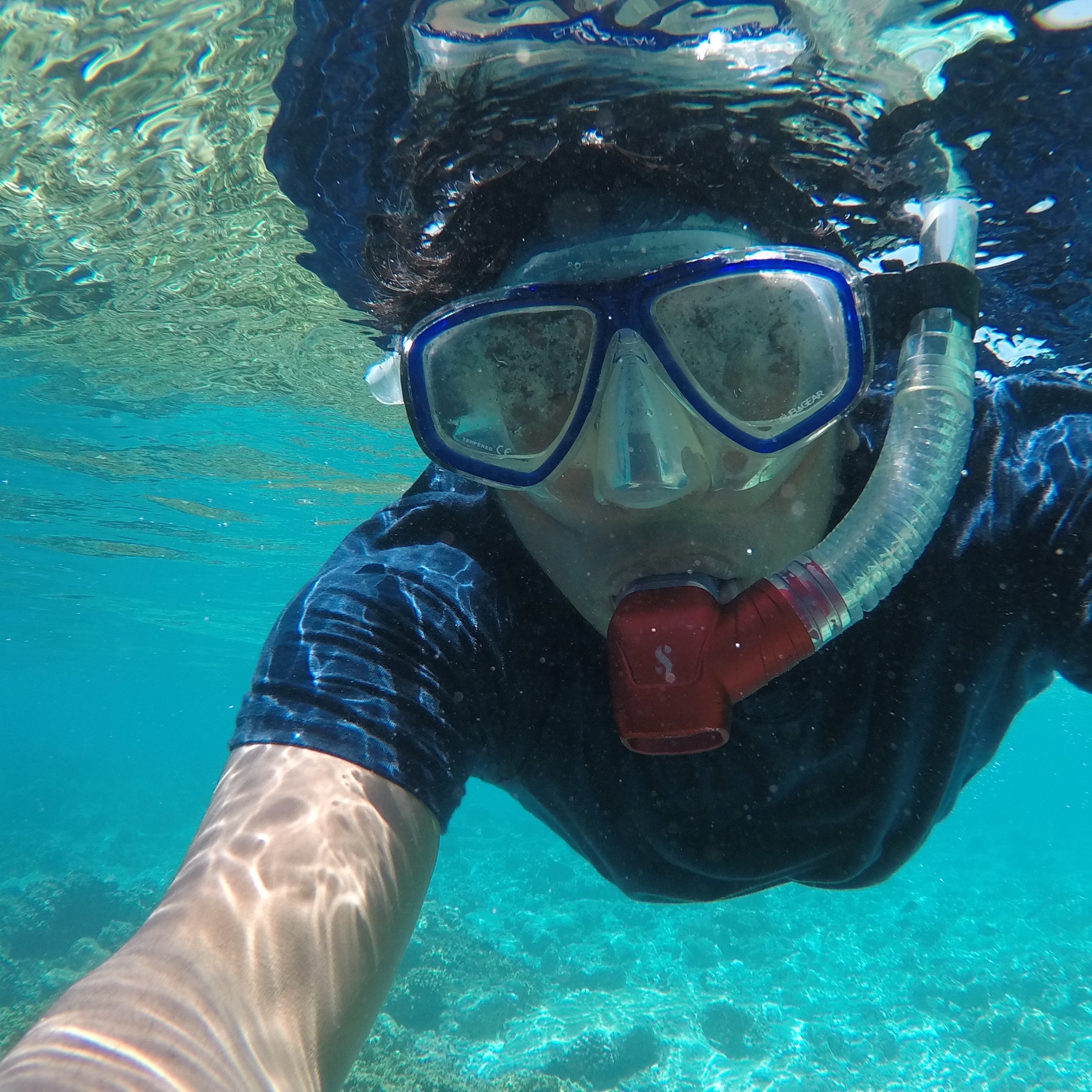 Gesture Bot With Hand Gestures Hackster Io - Premium Landscape Background Gallery - Full HD