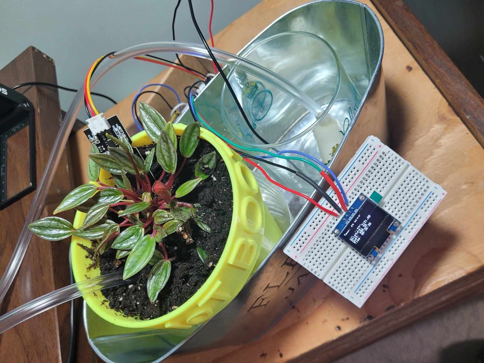 Smart Houseplant Watering System Hackster Io - Perfect Full HD Sunset Photos | Free Download
