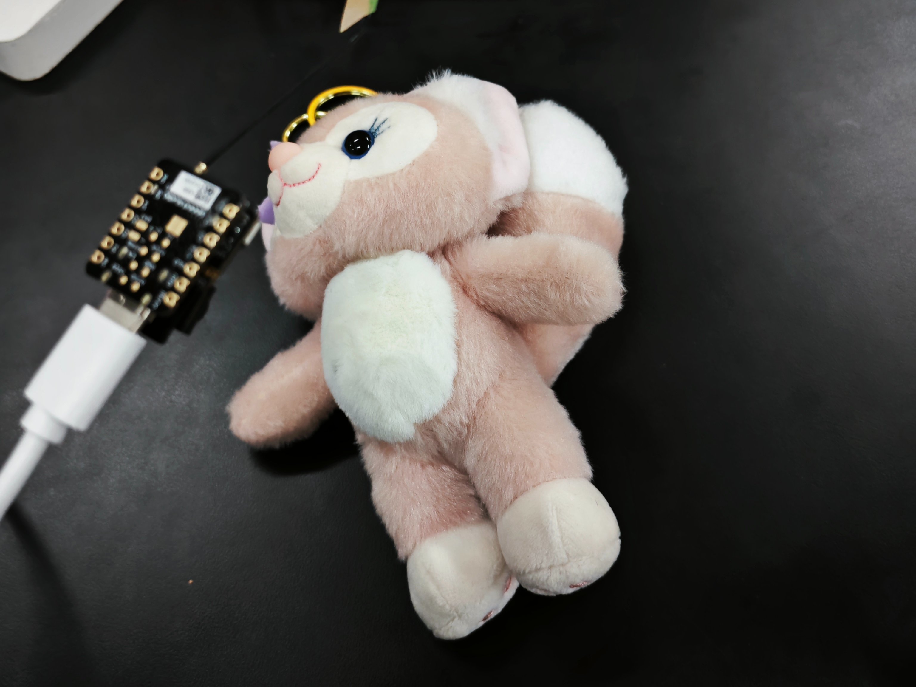 Pet Sound Detection Based On Seeed Xiao Esp32s3 Hackster Io - Best Dark Pictures in Ultra HD