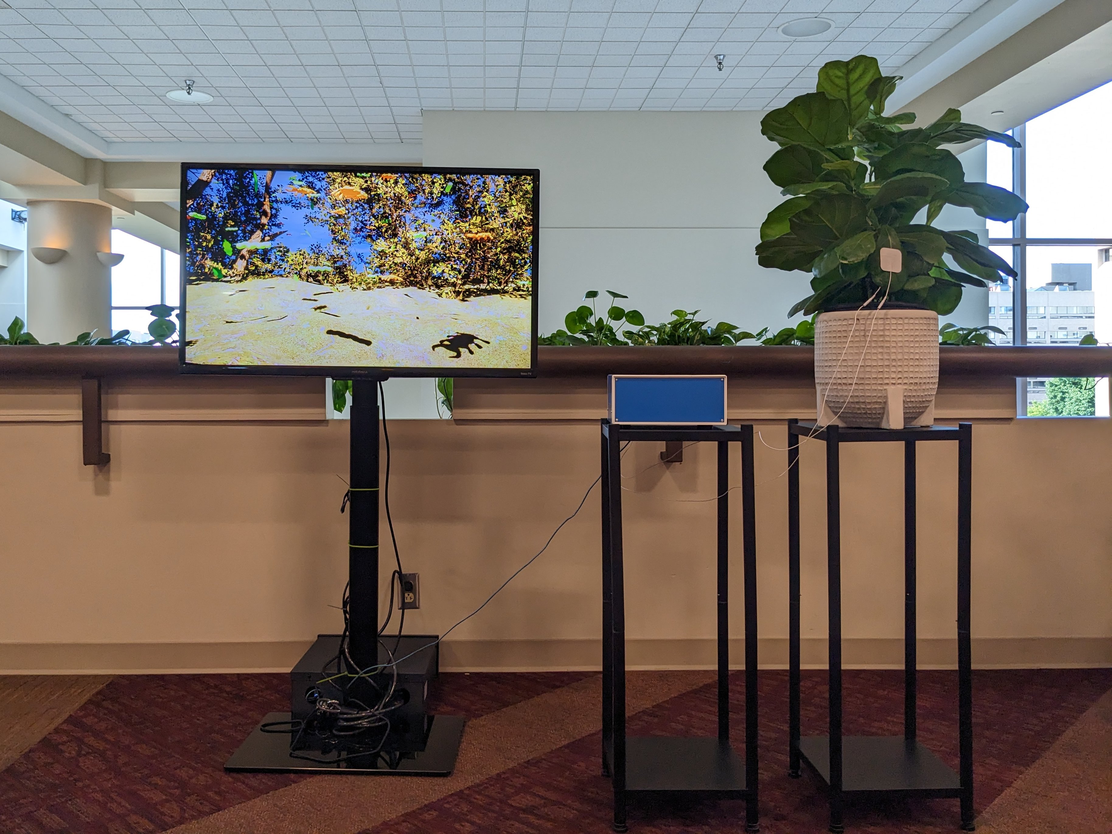 Epiphyte Hackster Io - Premium 4K Abstract Photos | Free Download