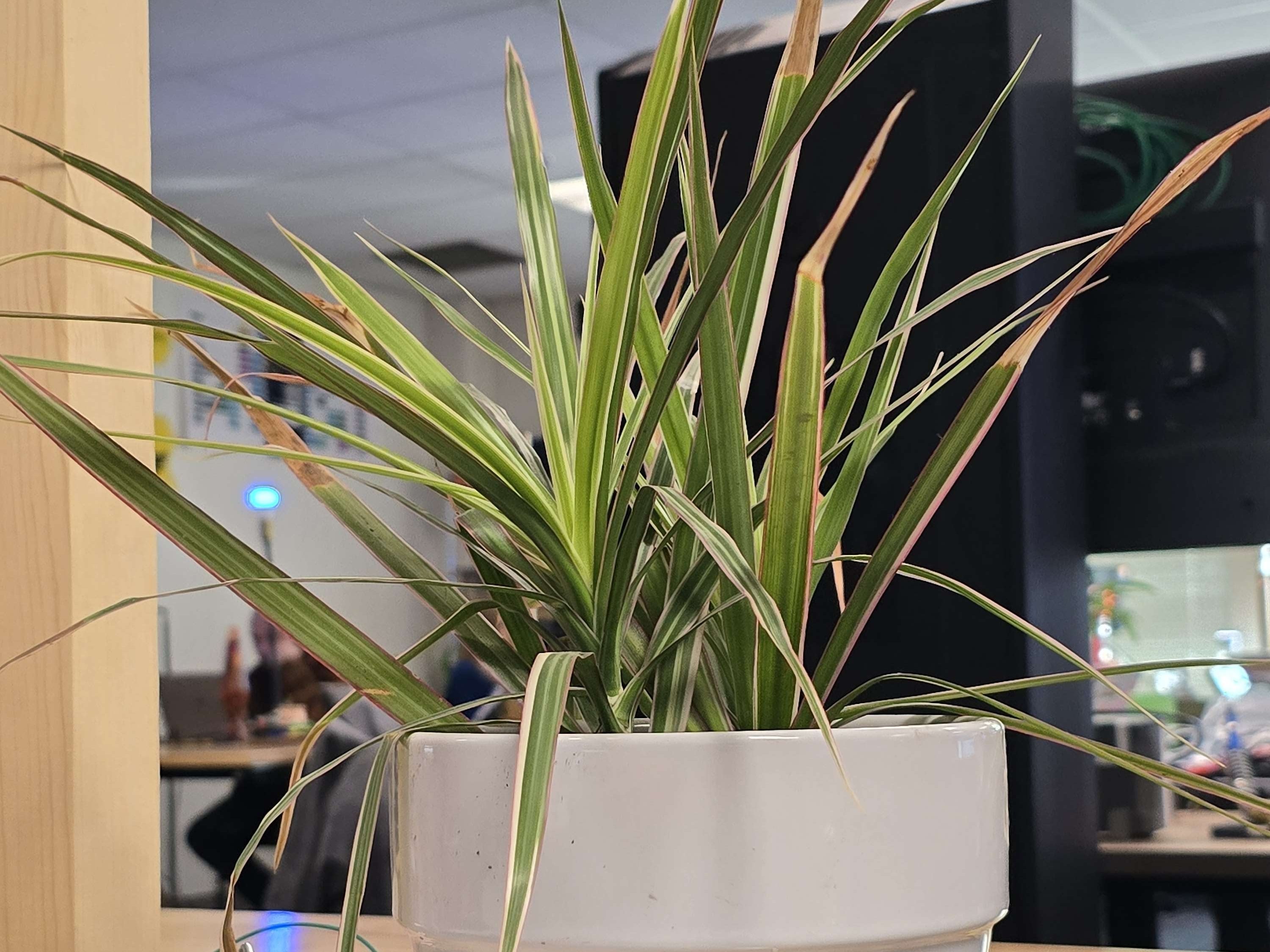 Smart Pot Hackster Io - Nature Image Collection - Retina Quality