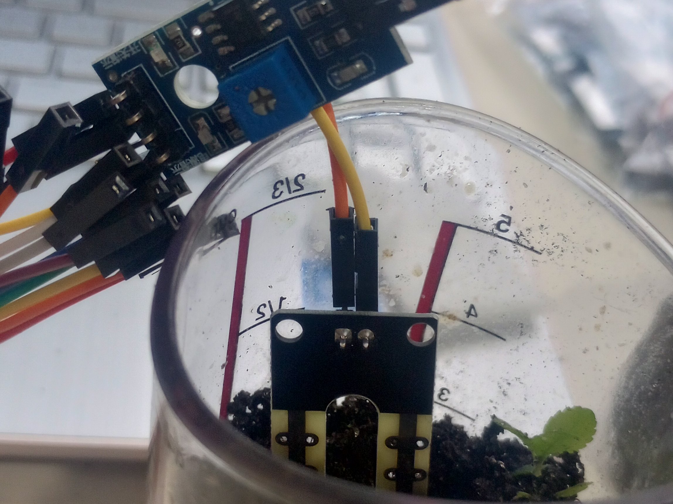 Soil Moisture Sensor With Arduino Uno Hackster Io - Premium High Resolution Nature Arts | Free Download