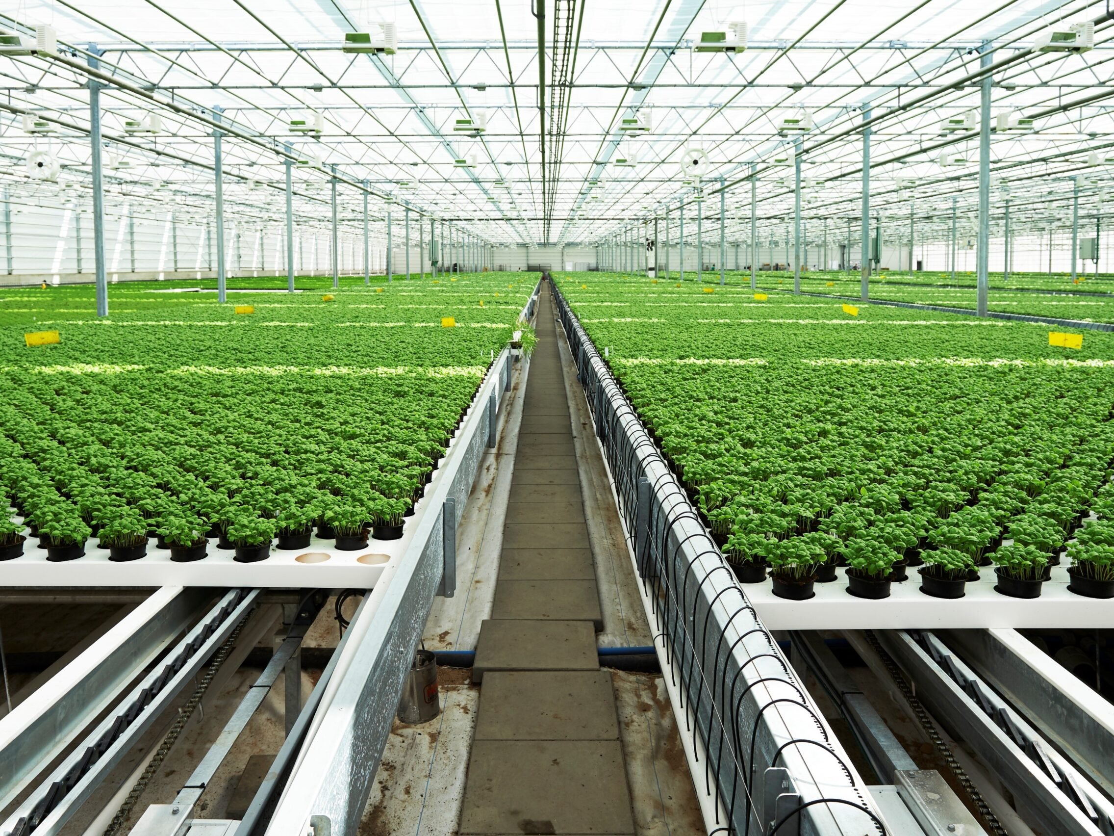 Eep Project Hackster Io - Nature Textures - Creative Desktop Collection