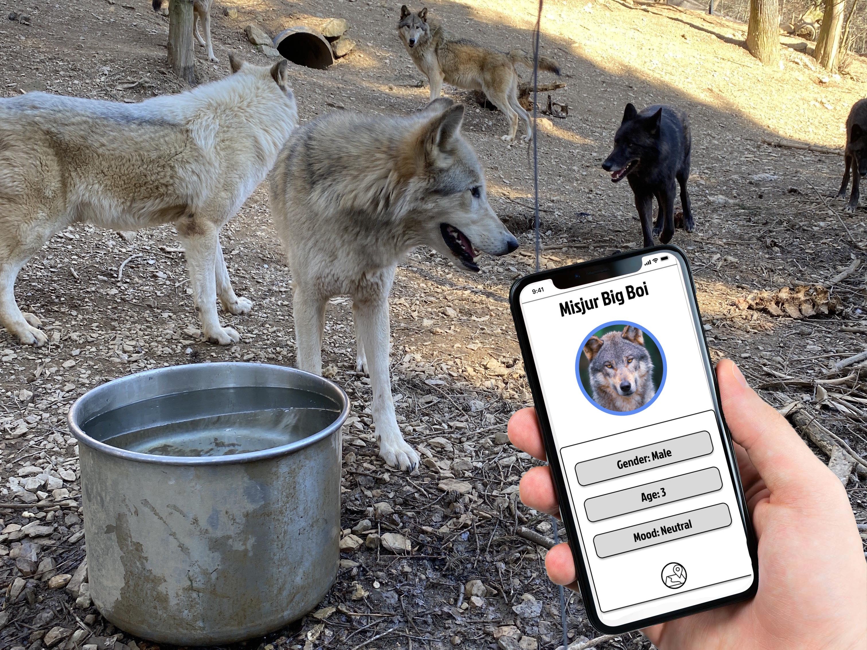 Robo Dog Hackster Io - Mountain Art Collection - 4K Quality