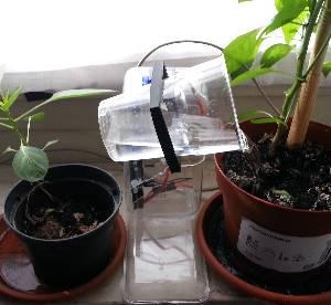 Double Plant Watering 2 Hackster Io - Premium Ocean Design Gallery - Desktop