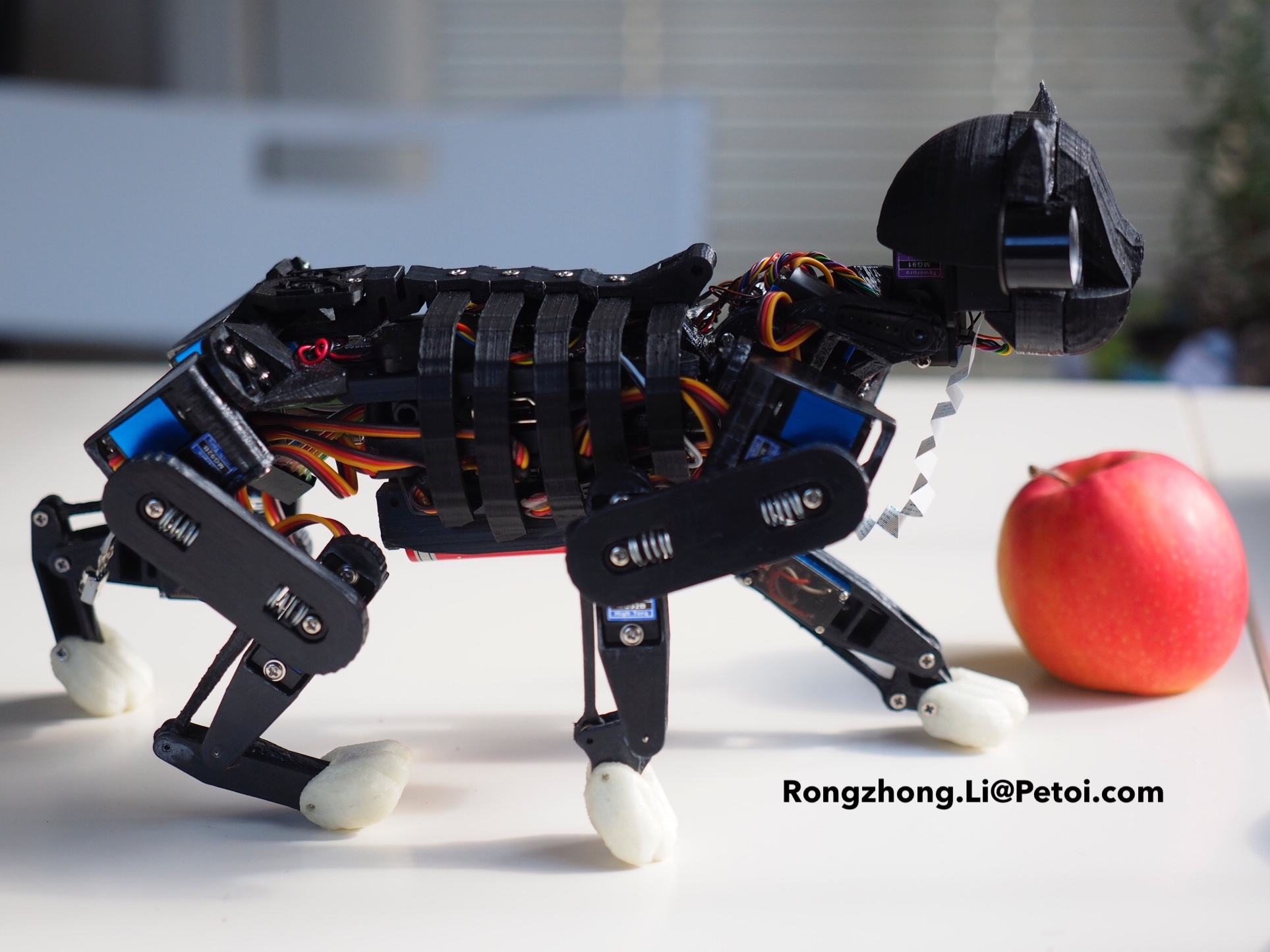 Opencat Affordable Quadruped Robot For Stem Hackster Io - Download Creative Light Design | 8K