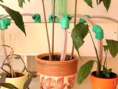 Double Plant Watering 2 Hackster Io - Creative Space Art - Retina