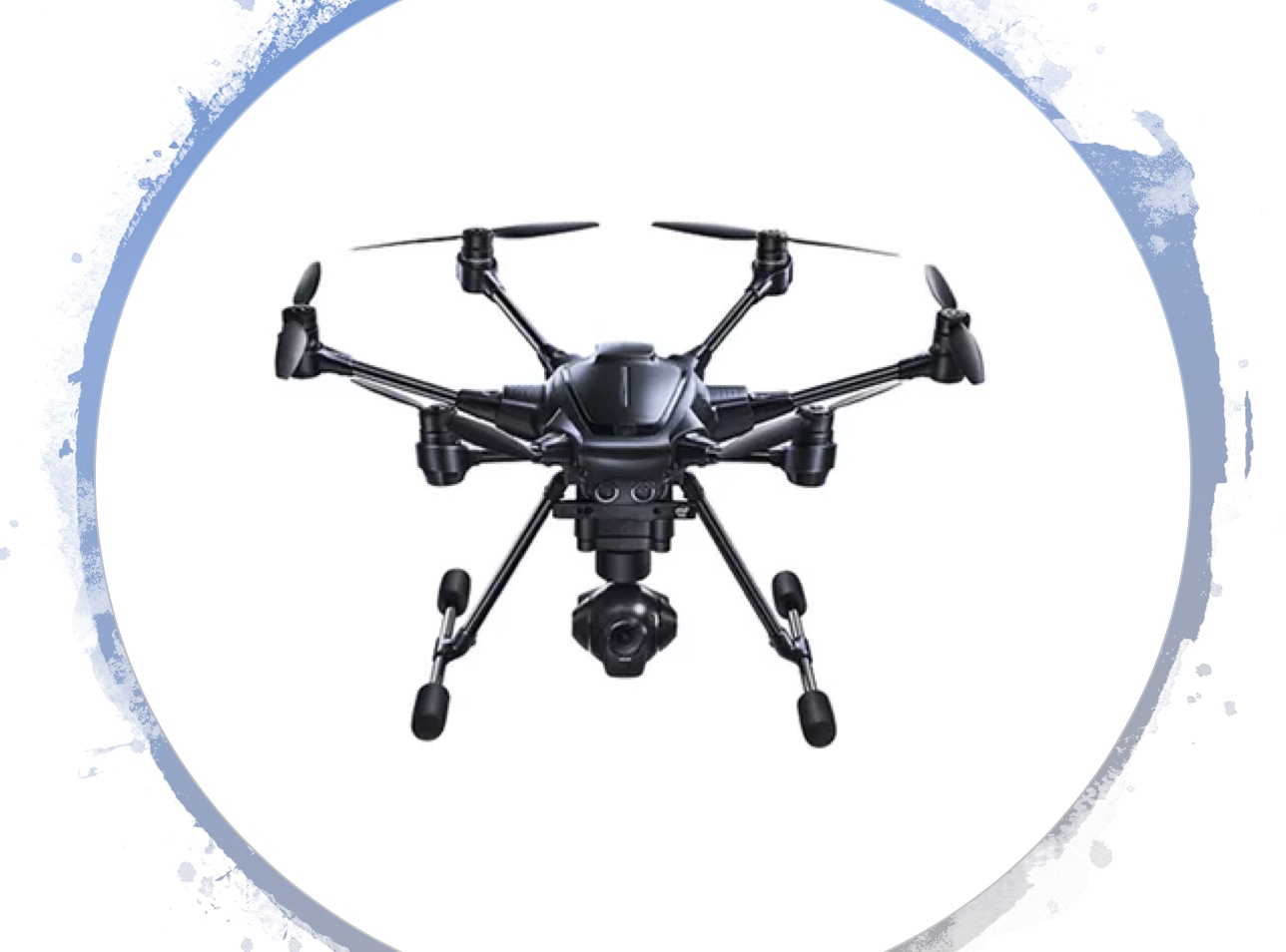 Birds Hackster Io - Ocean Picture Collection - 8K Quality