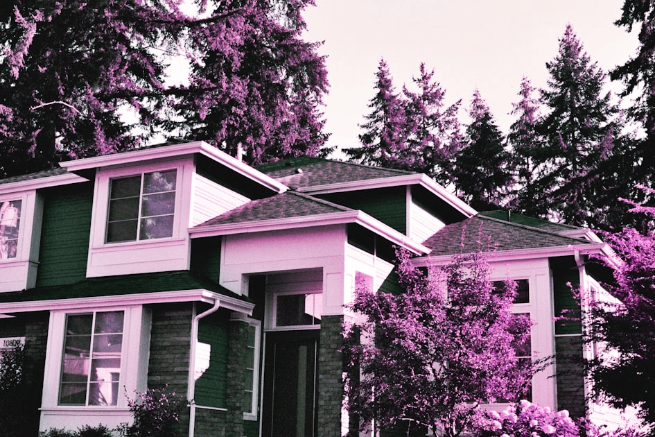 Choosing the Right Finishes
