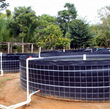 Geomembrane HDPE untuk Budidaya Lele