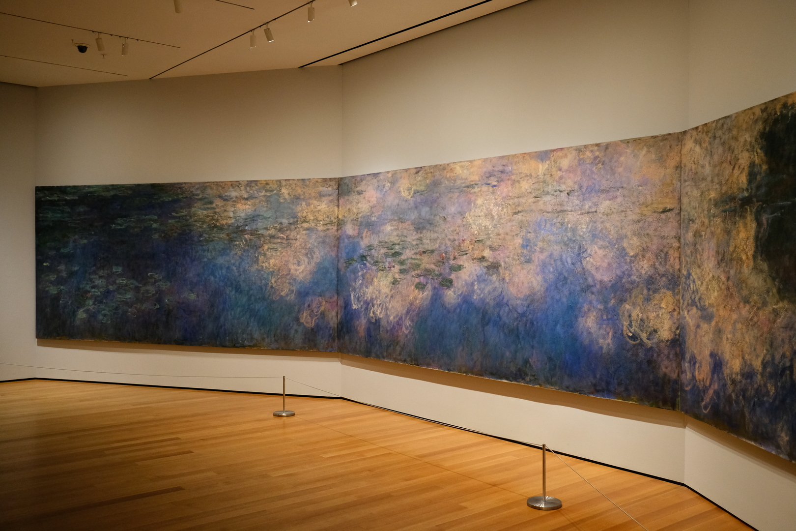 Water lilies by Monet, Museum of Modern Arts