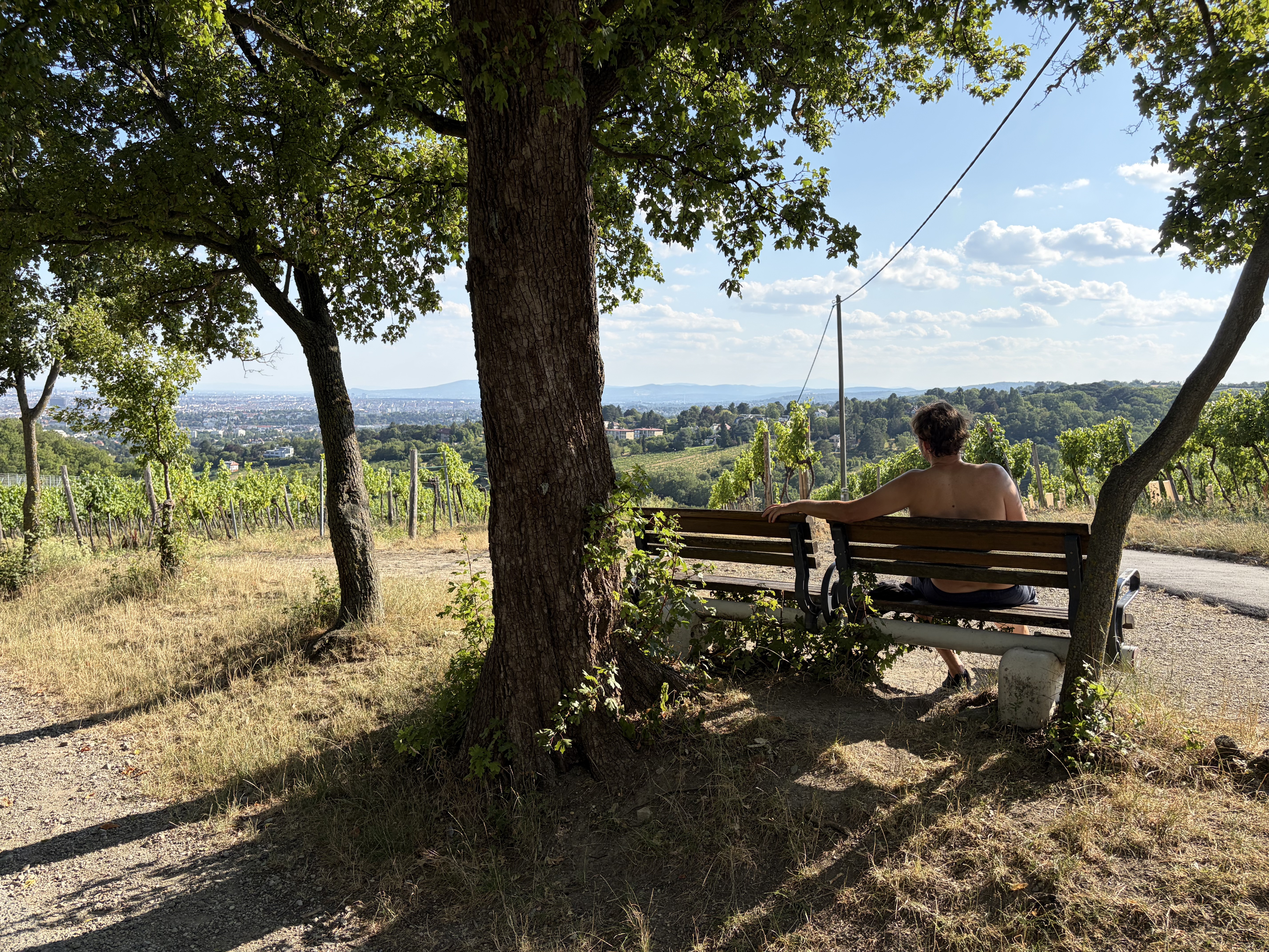 A trail nearby the vineyard