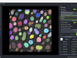 Interactive Dimensionality Reduction And Clustering Bio Image