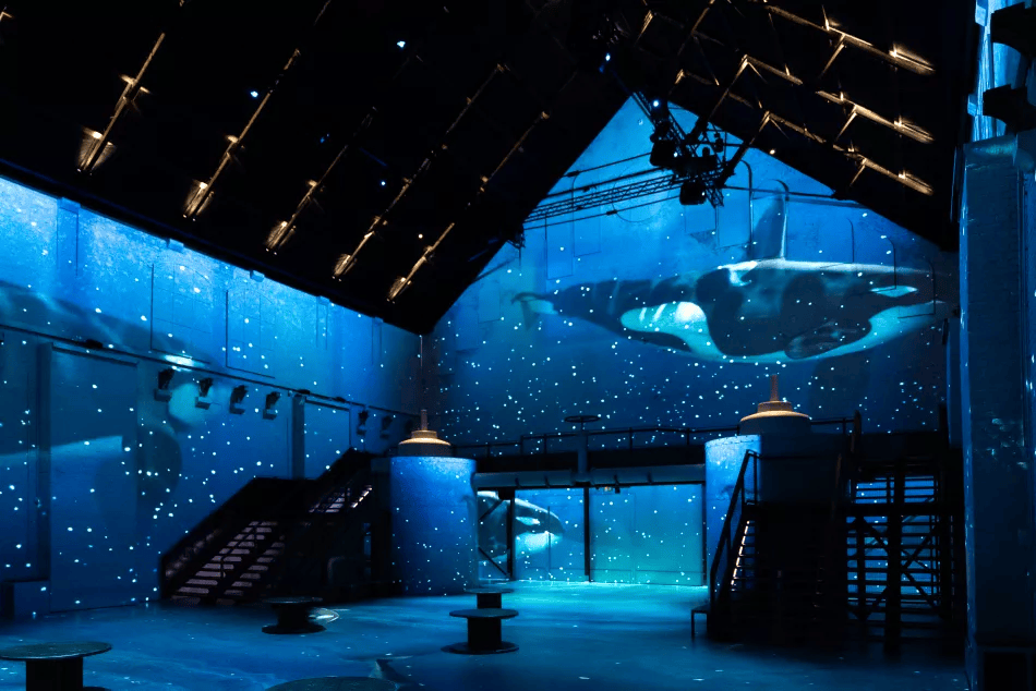 Immersieve oceaan-experience in Fabrique des Lumières Amsterdam, PR door HAGENS