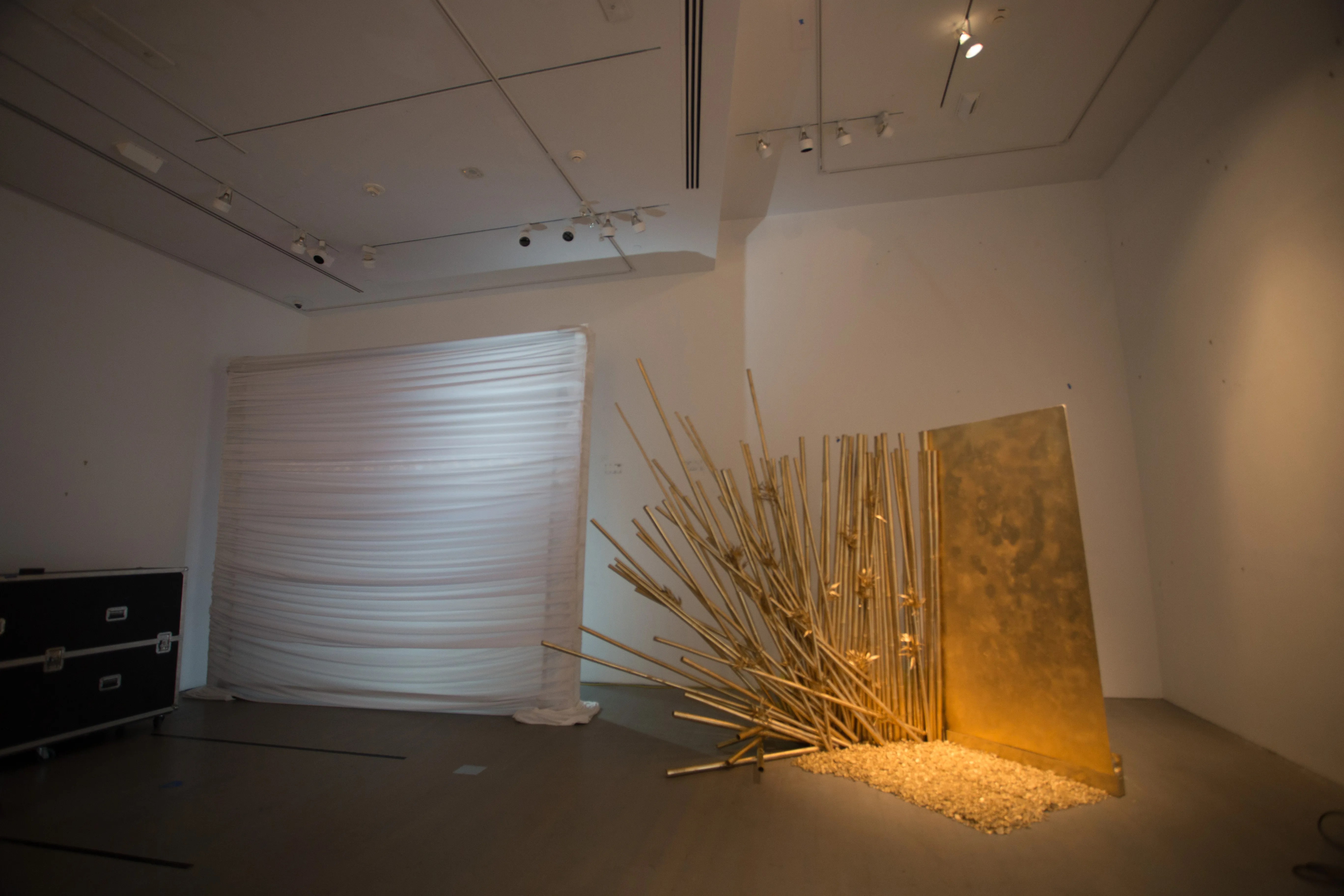 Gold Bamboo @ Bass Museum