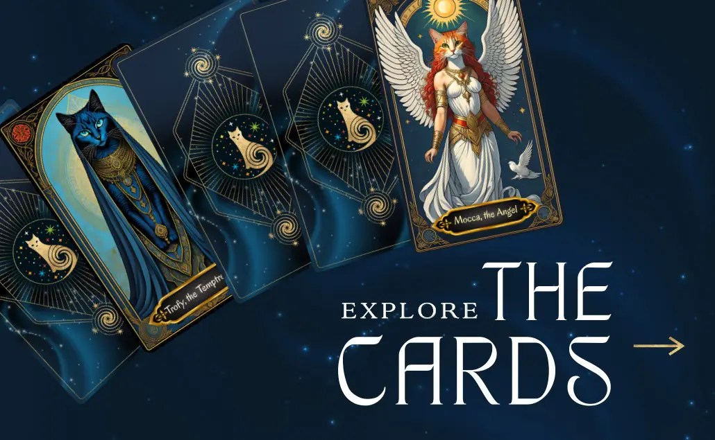 Explore the Cards