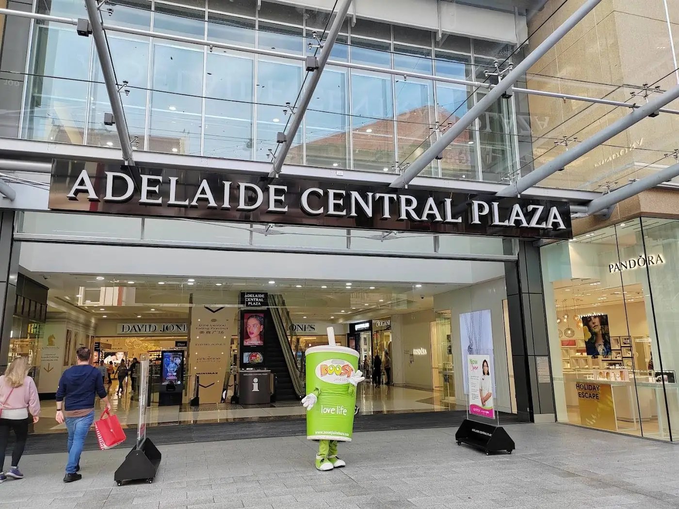 Cha & Dumpling