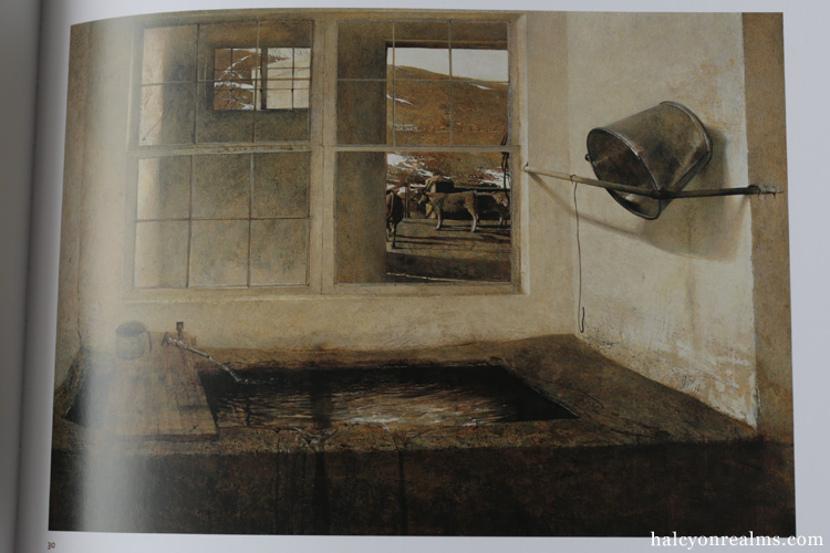 Andrew Wyeth : Looking Out, Looking In Art Book Review