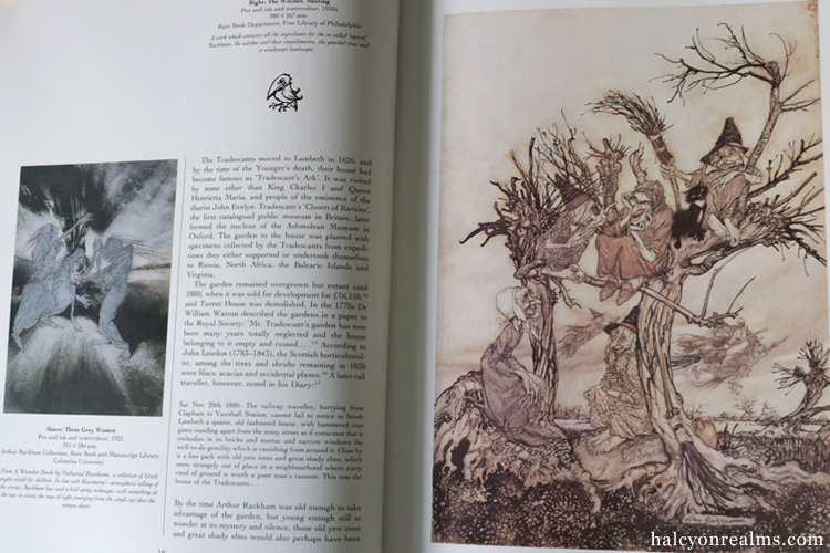 Arthur Rackham - A Life With Illustration Art Book Review