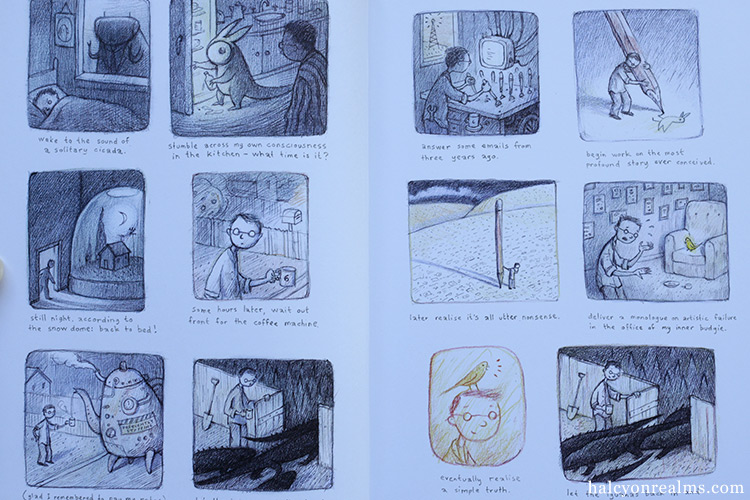 The Bird King : An Artist's Sketchbook Review ( Shaun Tan