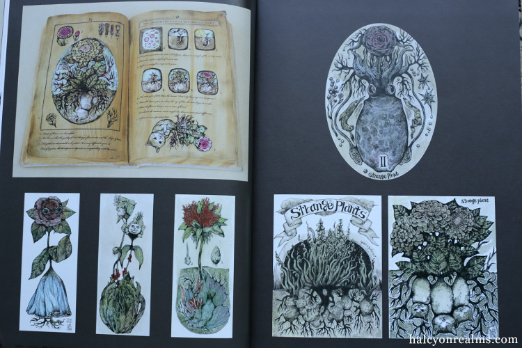 Circus - Higuchi Yuko Art Book Review - Halcyon Realms - Art Book