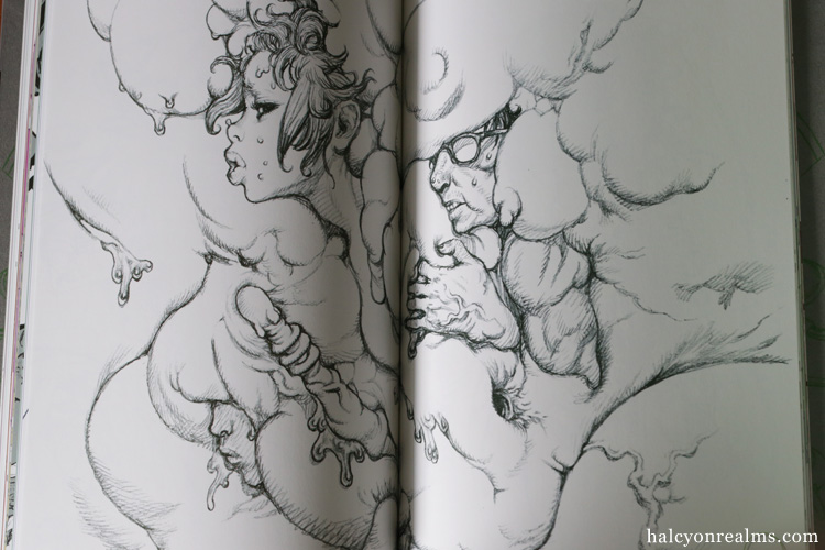 Erotic Engineering - Katsuya Terada Book Review - Halcyon Realms