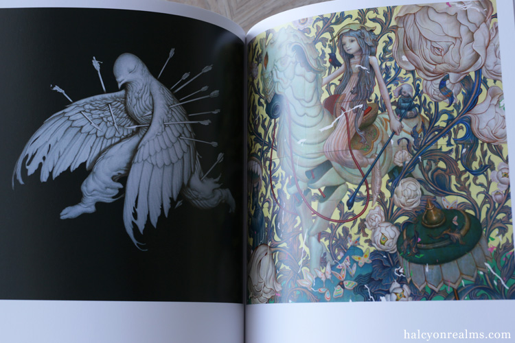 Pareidolia - James Jean Art Book Review