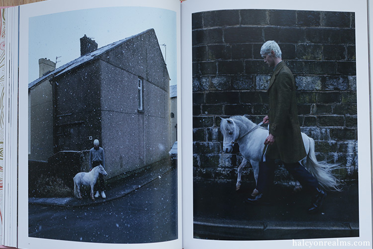 Tim Walker : Wonderful Things Photography Book Review - Halcyon