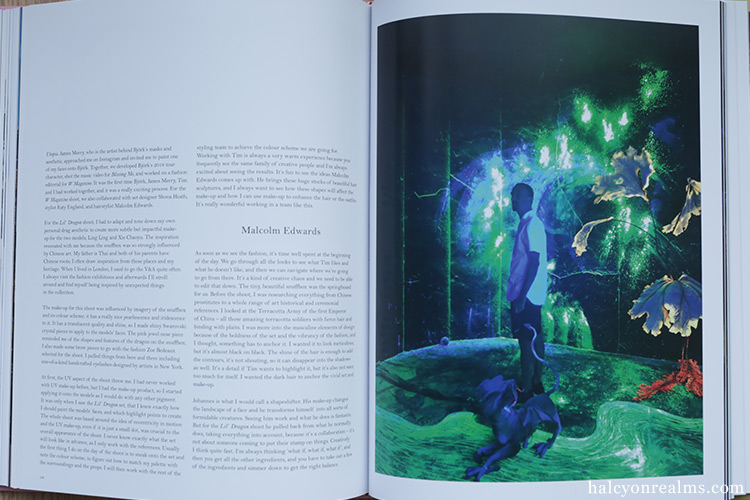 Tim Walker : Wonderful Things Photography Book Review - Halcyon Tim Walker : Wonderful Things Photography Book Review - Halcyon