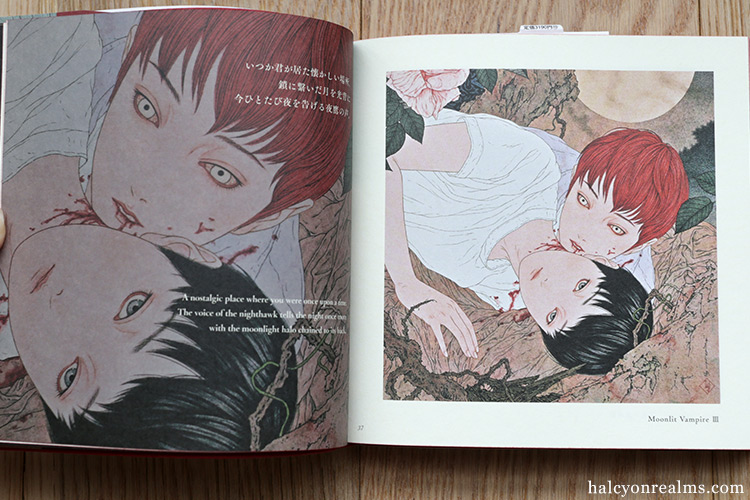 Vampire's Box / Takato Yamamoto Art Book Review - Halcyon Realms