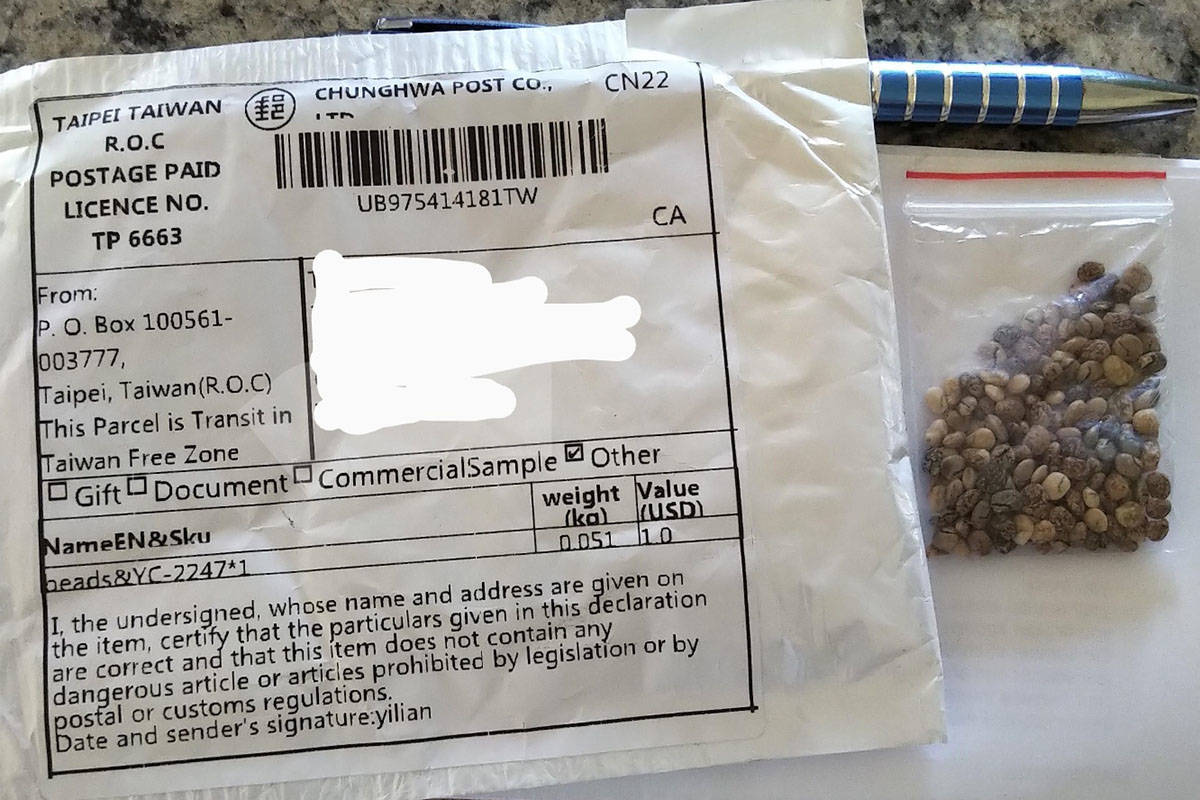 Featured image for Canadians receive mystery seeds