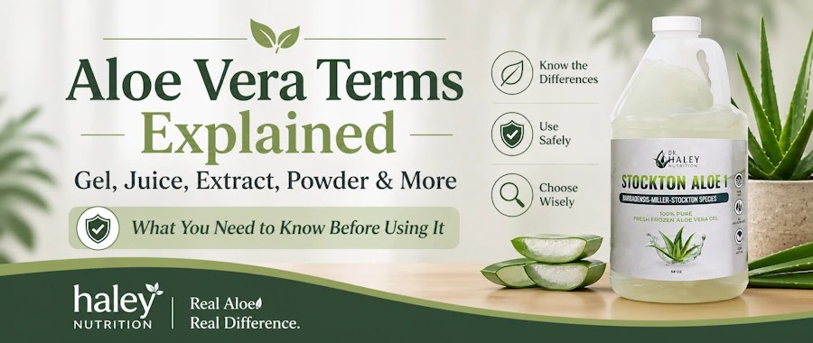 Aloe Vera Terms Explained