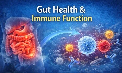 immune function