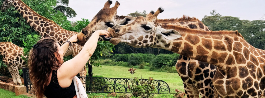 Giraffe Manor Nairobi