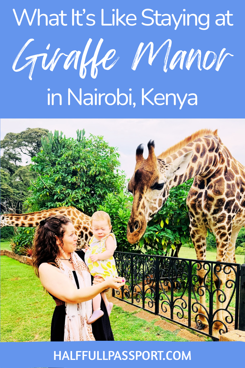 Giraffe Manor Pin