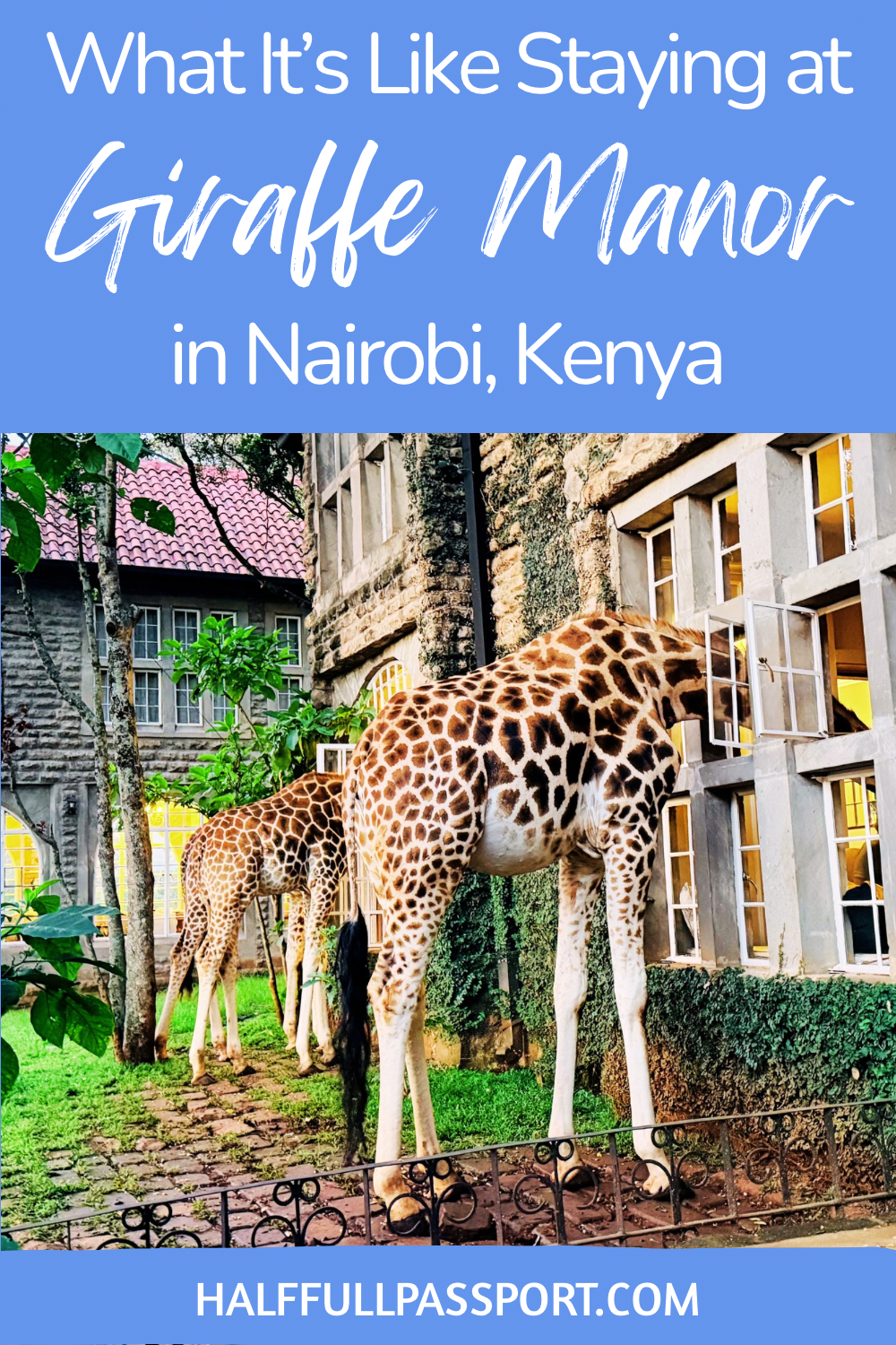 Giraffe Manor Pinterest Image