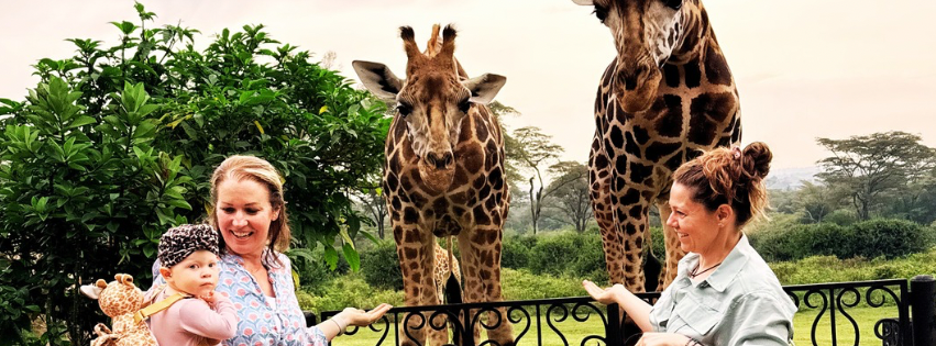 Giraffe Feeding Tips