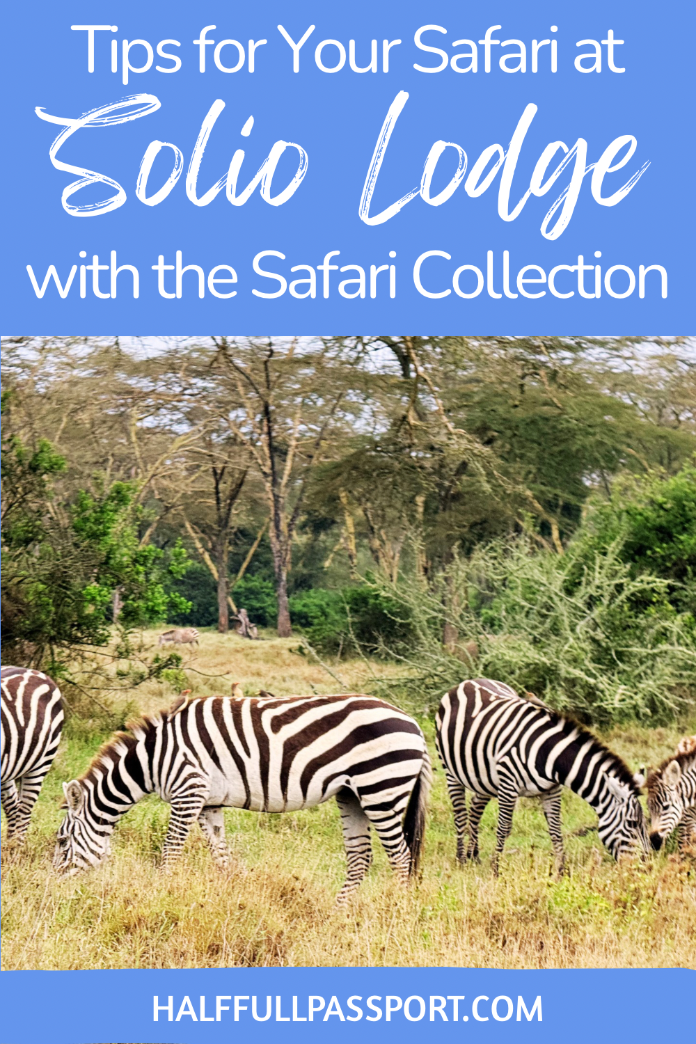 Safari Tips Pinterest