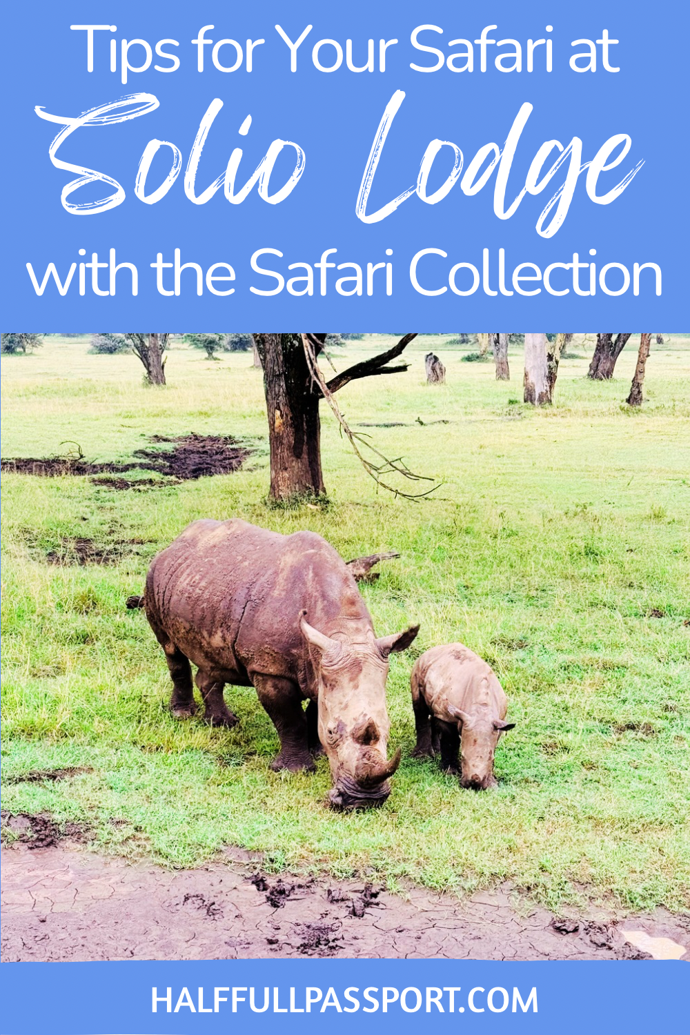 Safari Tips Pinterest Feature