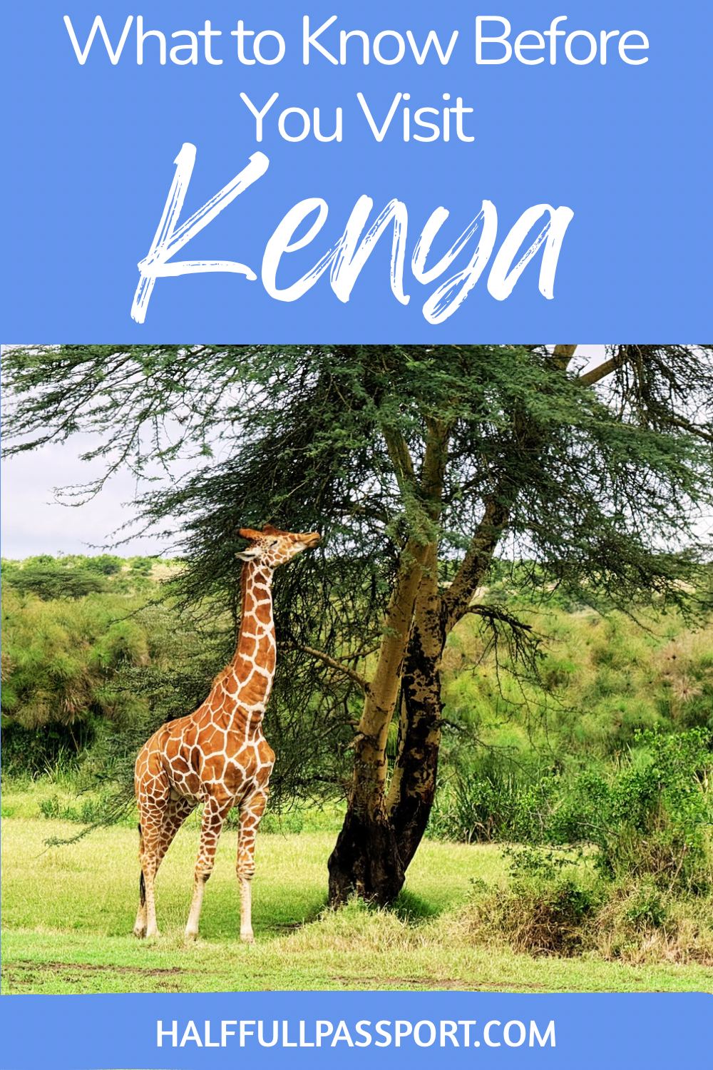Know Before Kenya Pinterest Image