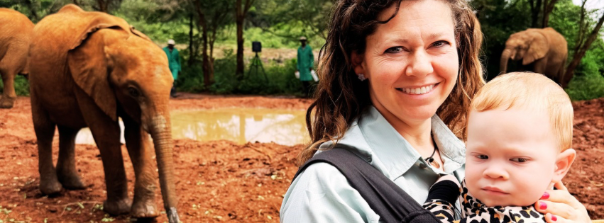 Elephant Orphanage Feature Image