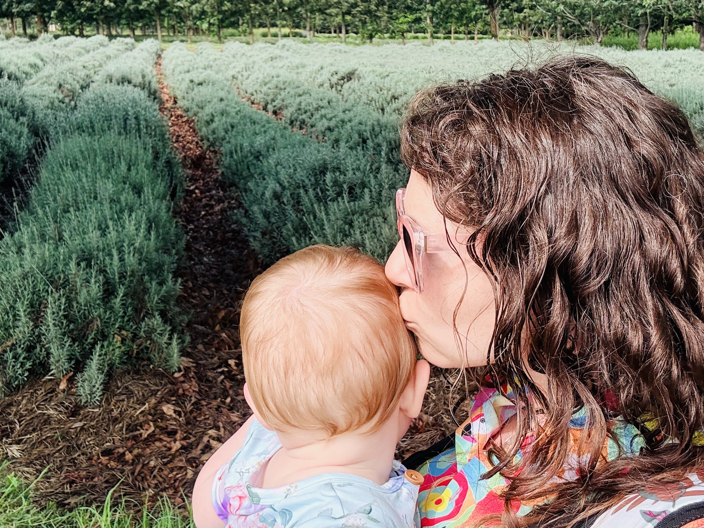 Baby at the Cinnabar Green Farm
