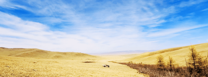 Nomadic Family Visit Feature Image