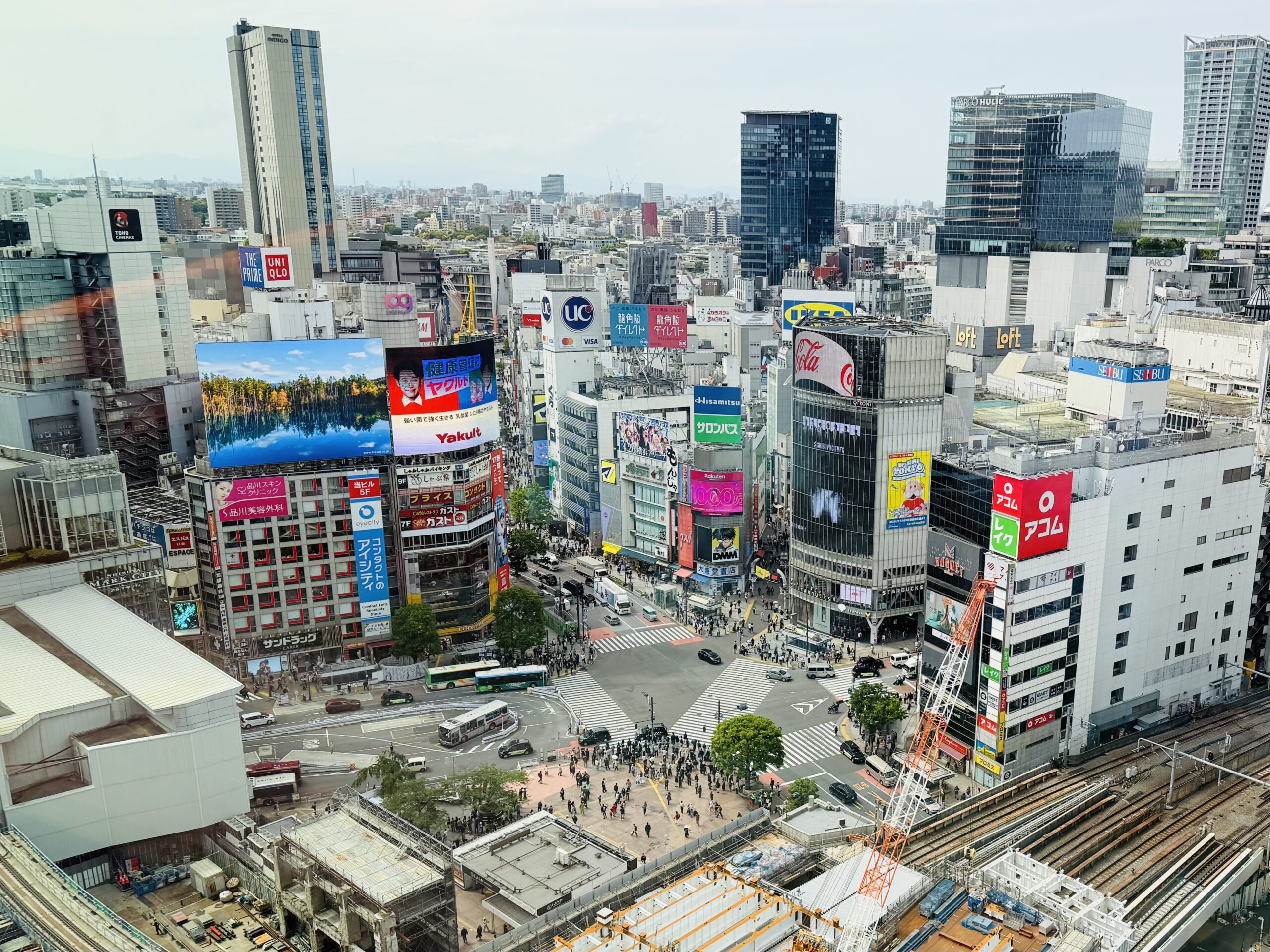 Shibuya Scramble Crossing in Tokyo