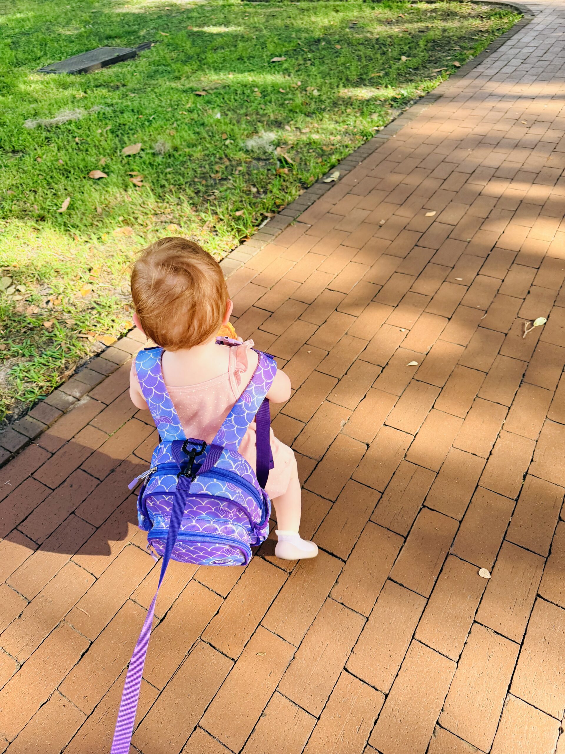 Baby walking in Savannah