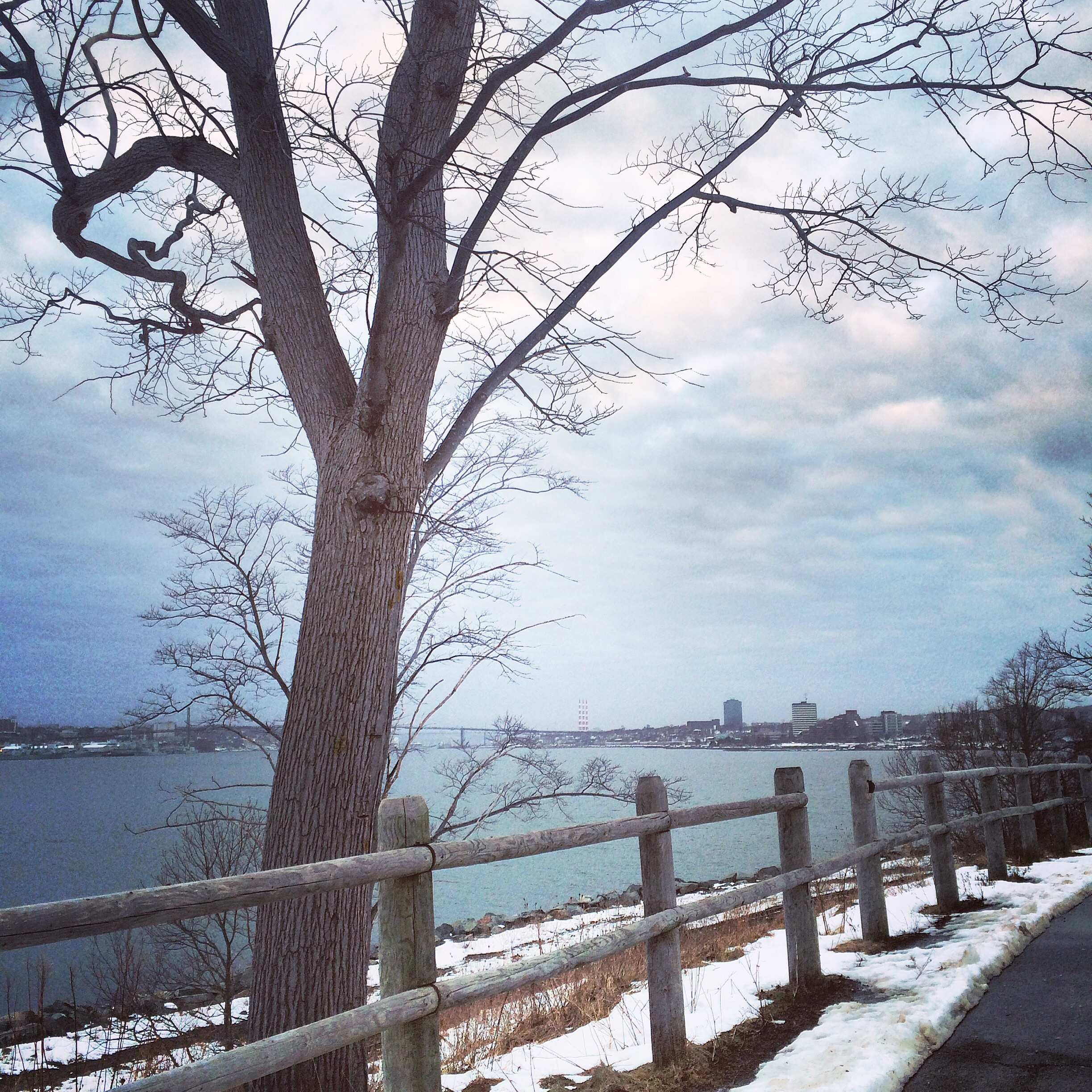 Dartmouth Harbourwalk Dog-Friendly