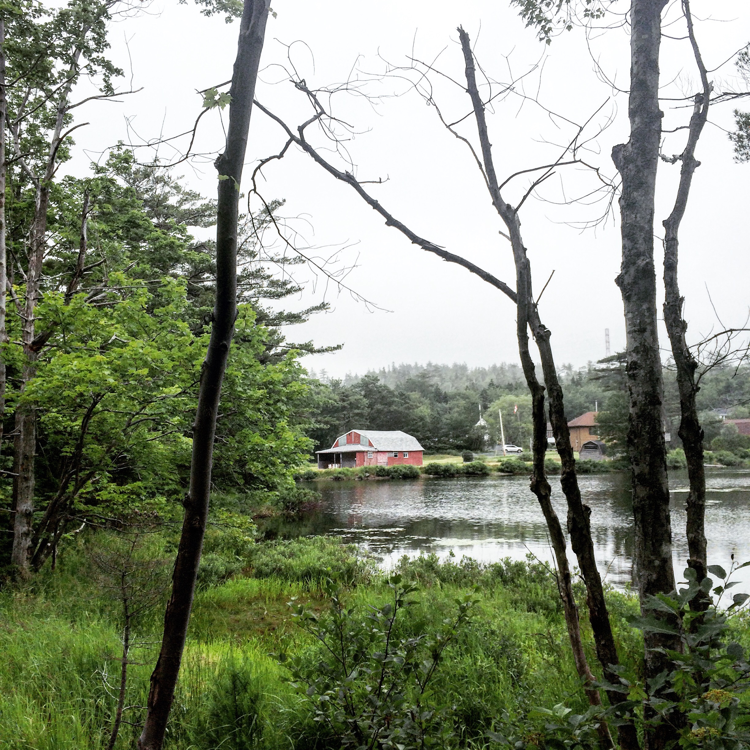 Shubenacadie Trail in Waverley, Nova Scotia Off-Leash Dog Friendly