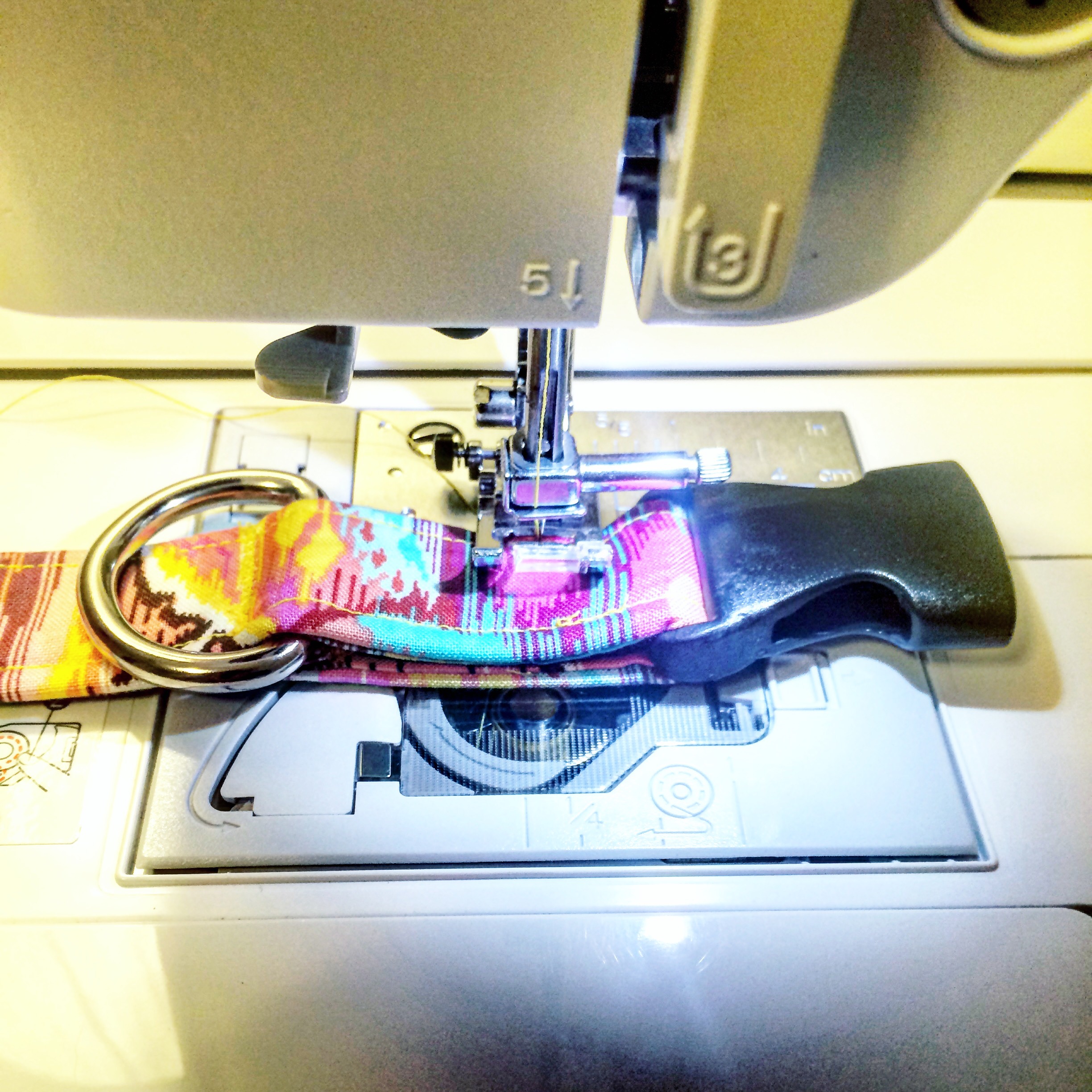 DIY Homemade Adjustable Fabric Dog Collar Tutorial