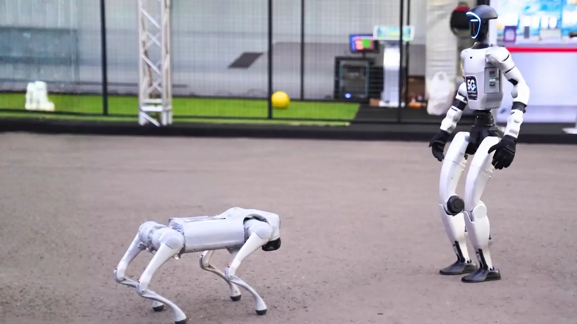 Robot quadruped dan robot humanoid Unitree sebagai contoh robot industri
