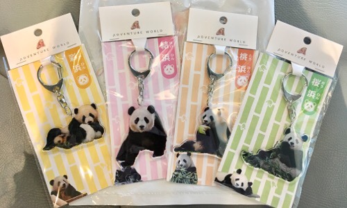 和歌山アドベンチャーワールドのお土産＆上野駅周辺パンダグッズ | は